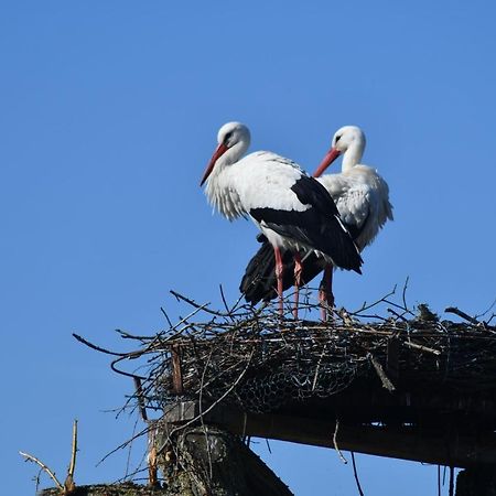 Ferienwohnung Storchennest Bad Rothenfelde Luaran gambar
