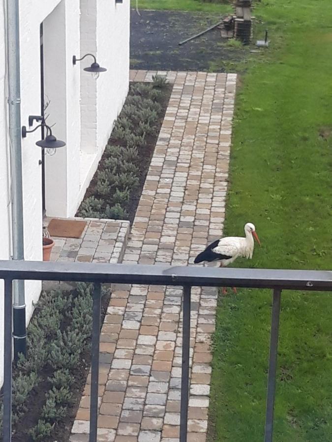 Ferienwohnung Storchennest Bad Rothenfelde Luaran gambar